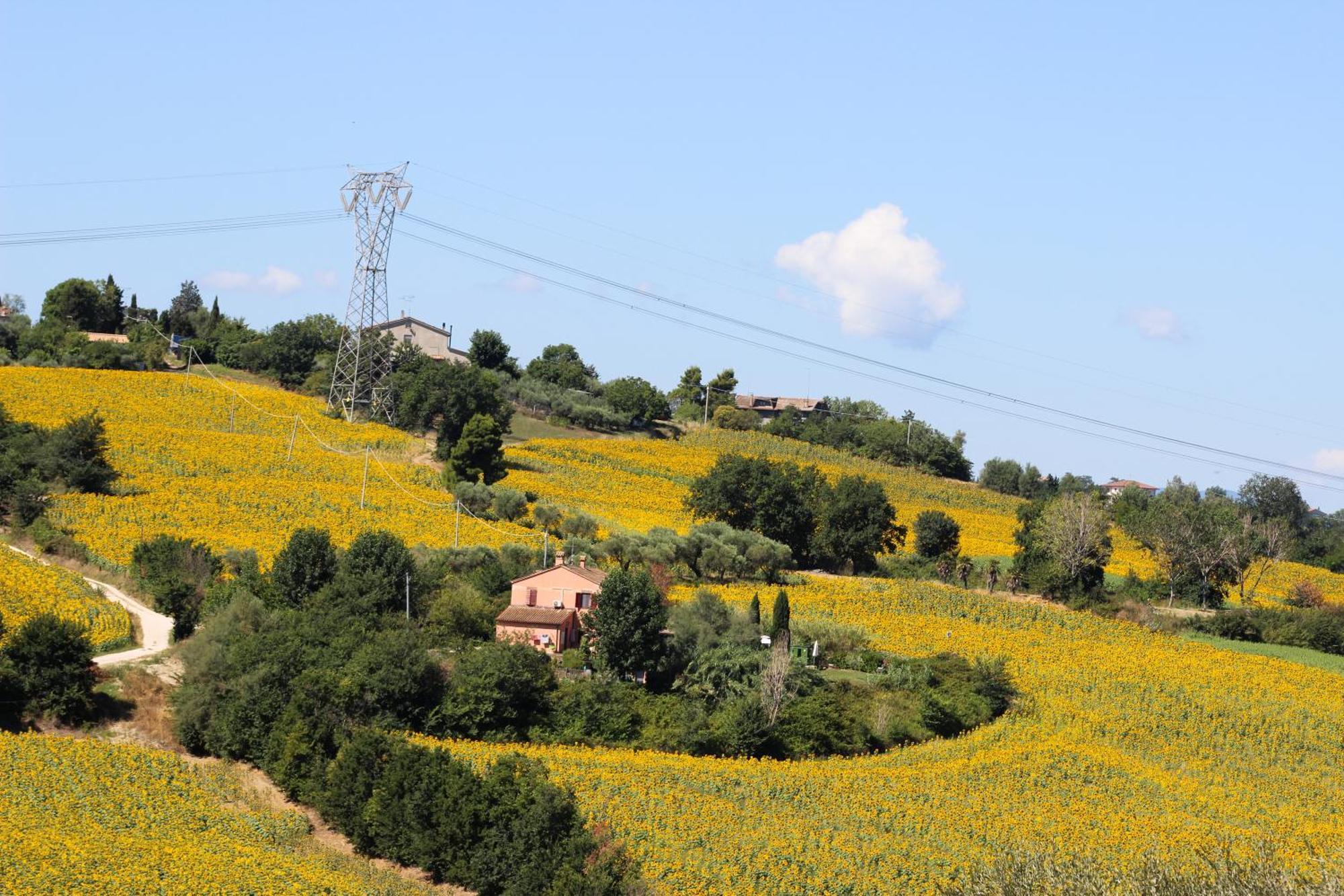 Hotel Casale Il Girasole Barbara Esterno foto
